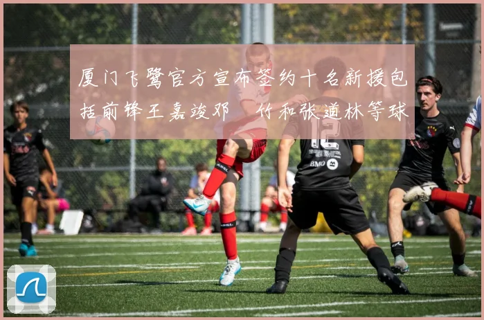 厦门飞鹭官方宣布签约十名新援包括前锋王嘉竣邓棽竹和张道林等球员